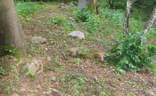 3_Akmenų ruožas velniakelis 1 (2).jpg